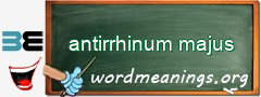 WordMeaning blackboard for antirrhinum majus